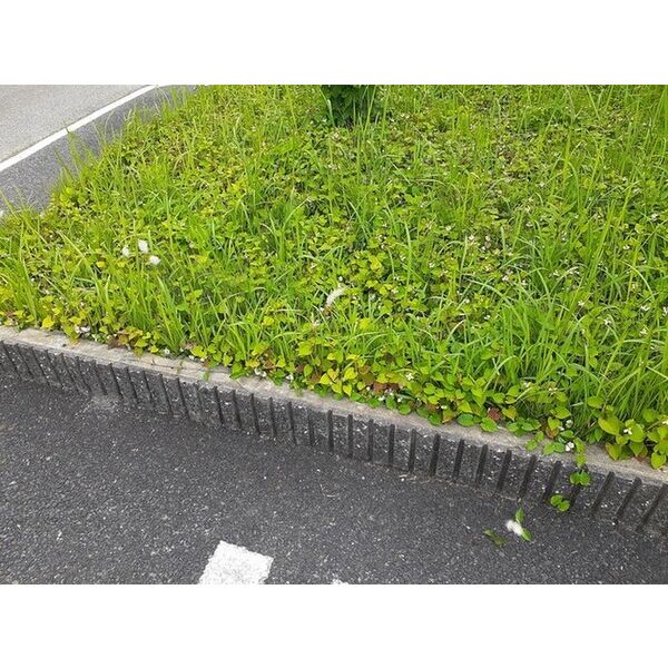 フォレストサイド 室内写真9