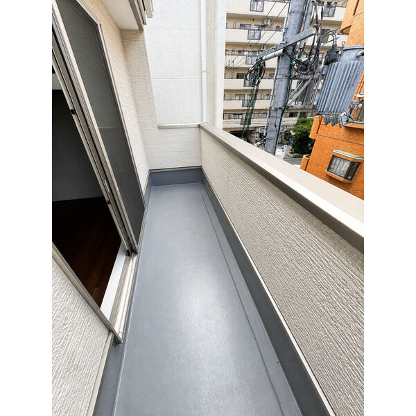 桃谷2丁目户建 室内写真10