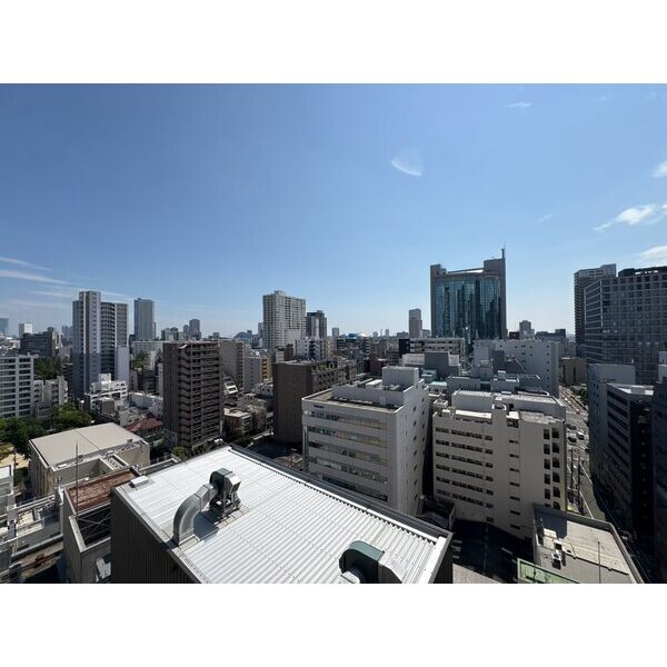 ザ・ファインタワー大阪肥後橋 室内写真8