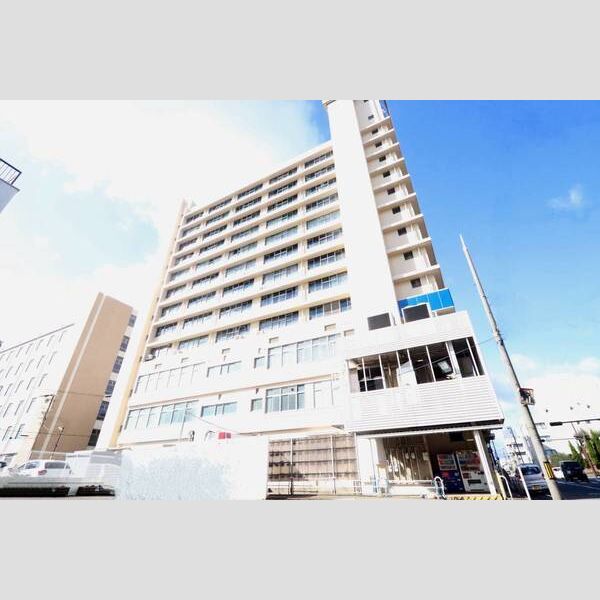 ビレッジハウス城北タワー1号棟 建物画像