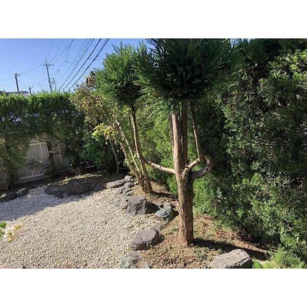 多治見市脇之島町戸建 室内写真9