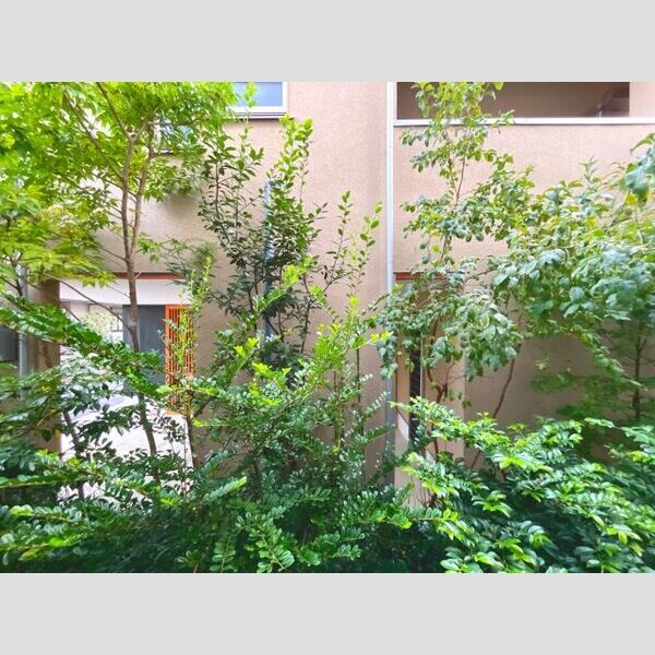 とまり木 室内写真9