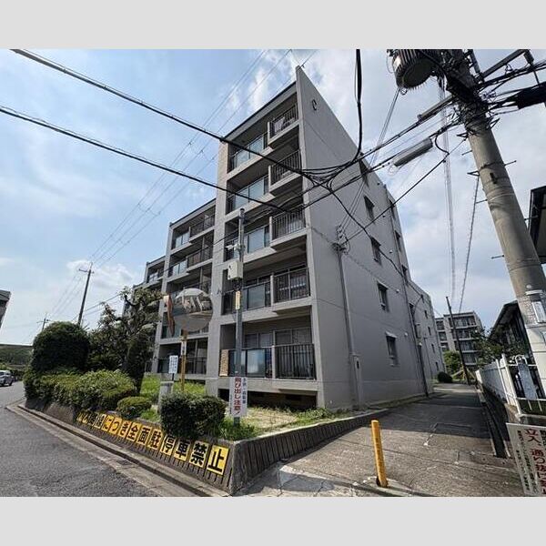 新大宮ハイタウンC棟 建物画像