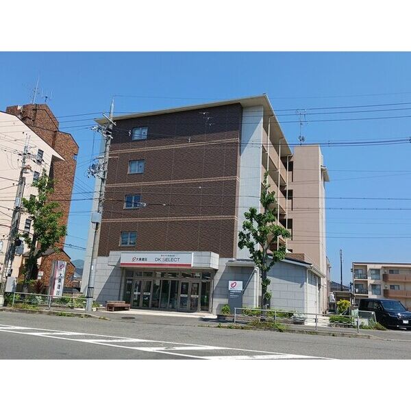 D・マローネ 桂