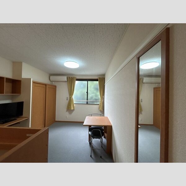 レオパレス西羽貫 室内写真9