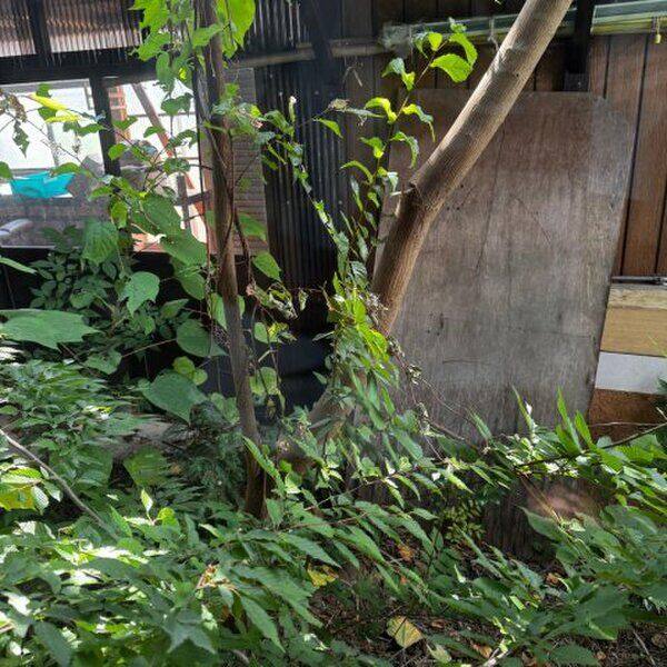 本巣市根尾水鳥戸建て 室内写真9