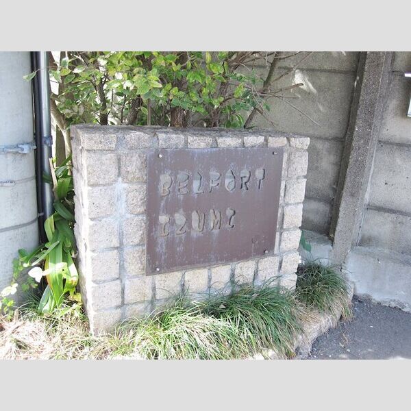 ベルフォート和泉 室内写真2