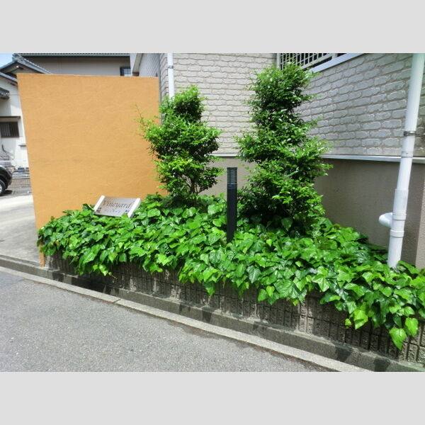 ヴィンヤード 室内写真5