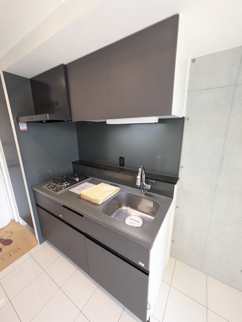 Ｒｅｖｅ Ｒｅｓｉｄｅｎｃｅ 市ヶ谷 室内写真3