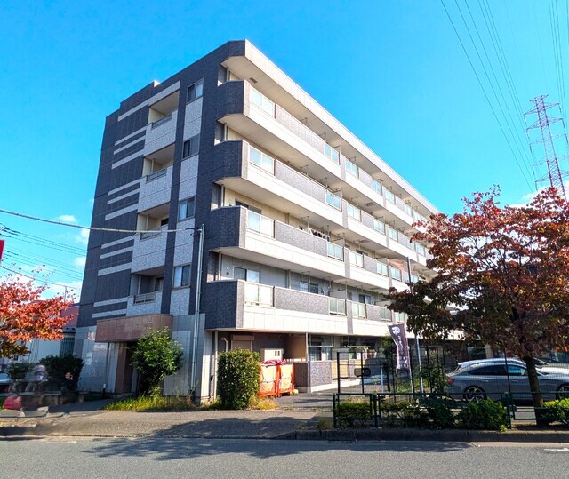 ラセーヌポンヌフ