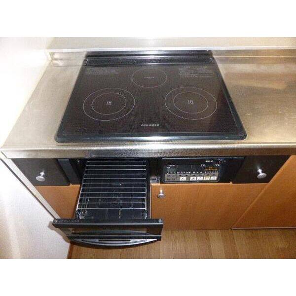 サンビレッヂさくら　C 203号室号室 室内写真4