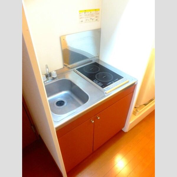 レオパレス昴555F 室内写真4