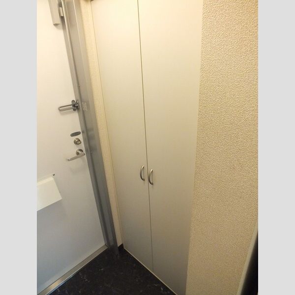 レオネクストミツハウス テトラ 室内写真10