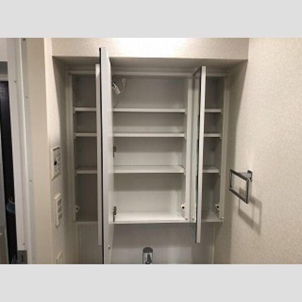 ルーブル錦糸町弐番館 室内写真10