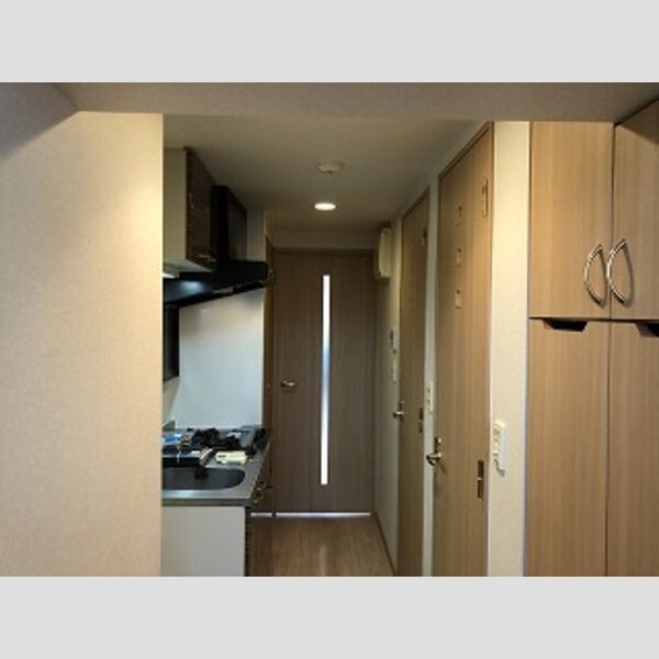 ルーブル錦糸町弐番館 室内写真4