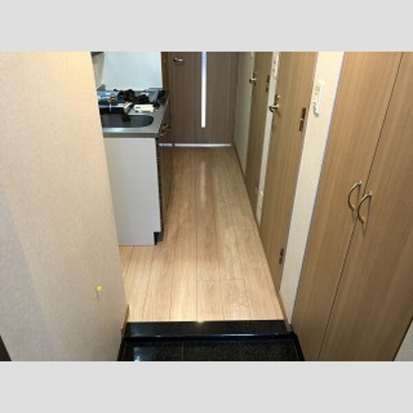 ルーブル錦糸町弐番館 室内写真5