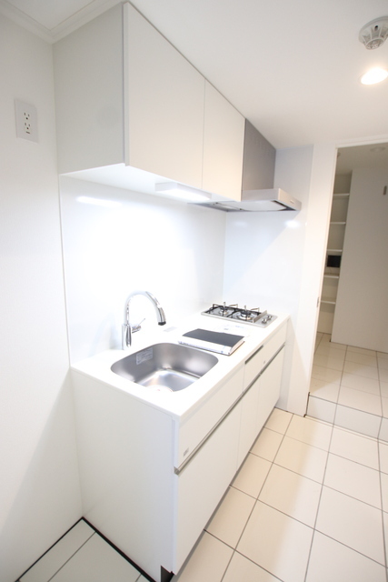 Ｒｅｖｅ Ｒｅｓｉｄｅｎｃｅ 駒込 室内写真4