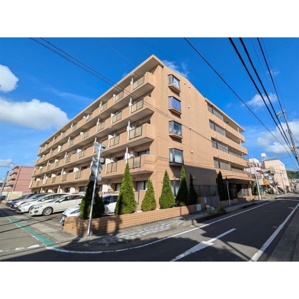 マイシティオグロ