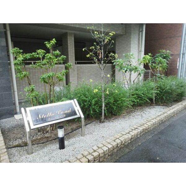 ステラ・ランド 室内写真10