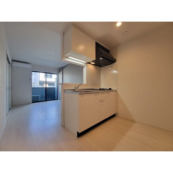 Louis Apartment 豊中蛍池 ウエスト 室内写真10
