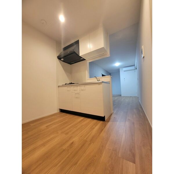 Louis Apartment 豊中蛍池 ウエスト 室内写真9