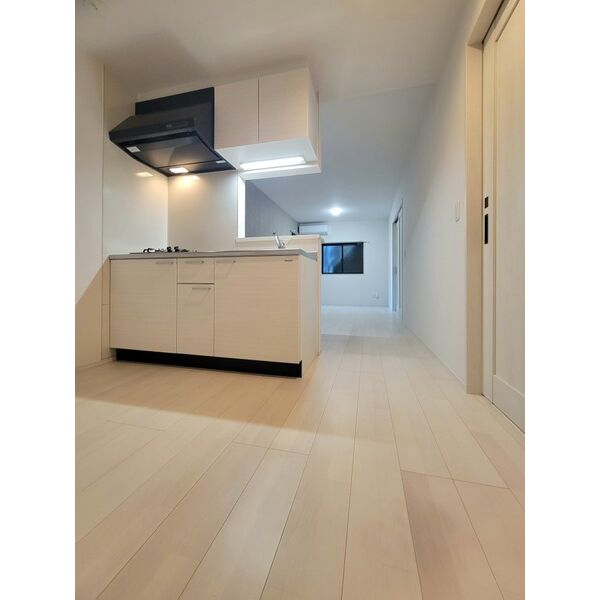 Louis Apartment 豊中蛍池 イースト 室内写真11