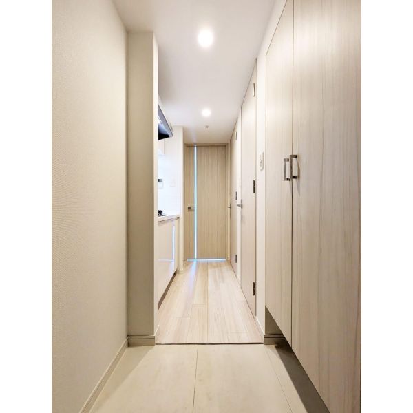 S-RESIDENCE阿波座West 室内写真10