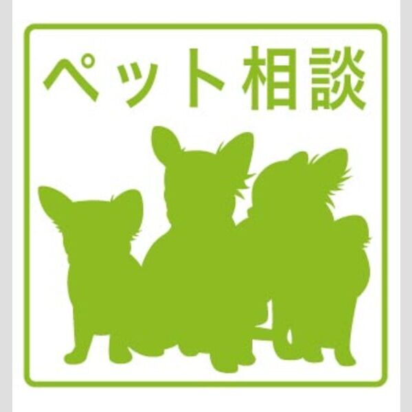 クレールシャトレ 室内写真1
