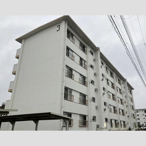 市川中山団地第3号棟 建物画像