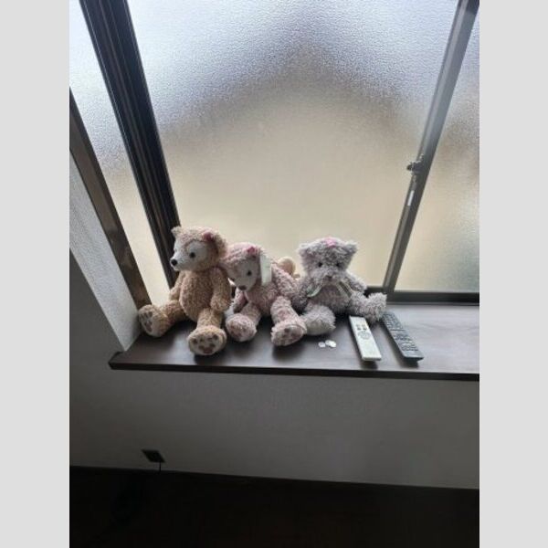ペディハウス花屋敷1丁目8 室内写真3