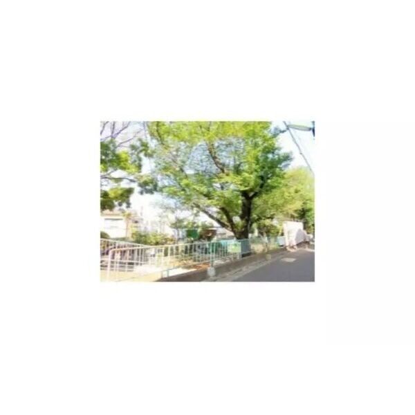 SA-クロス代田橋2 室内写真10