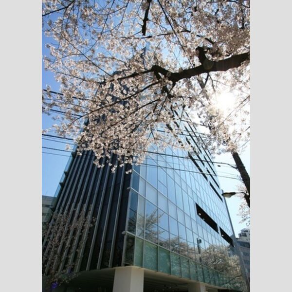 桜ヒルズ九段北 建物画像