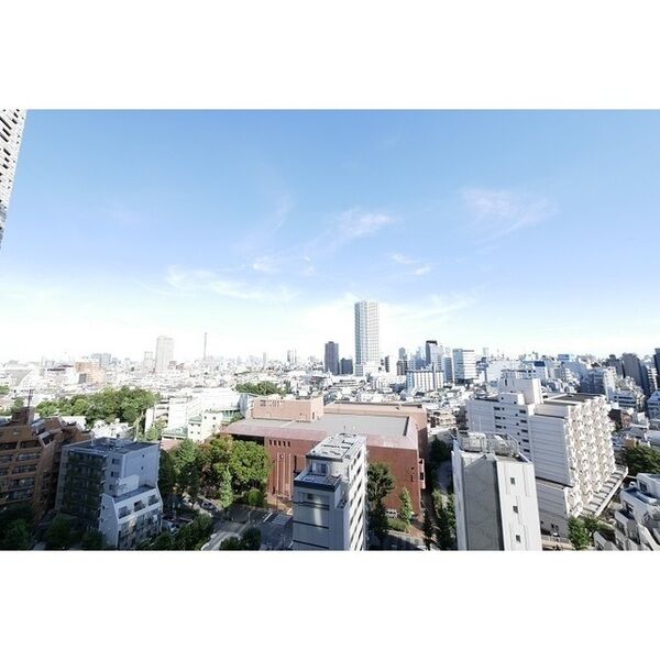 コンフォリア新宿イーストサイドタワー 室内写真9