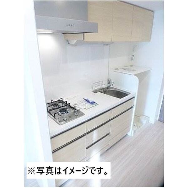 パークリュクス白金monoグレージュ 室内写真2
