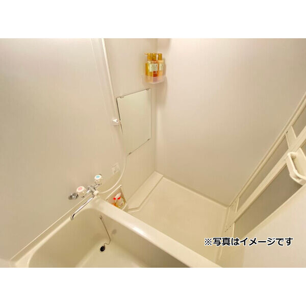 メゾン・ド・ヴィレ高円寺 室内写真3