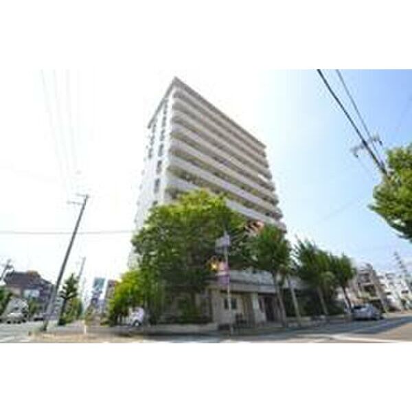 シロハイヌ名神町