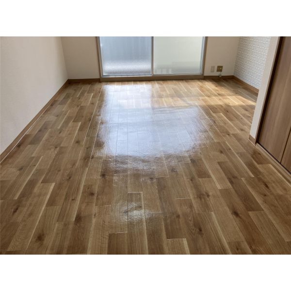 サントピアマンション 室内写真1