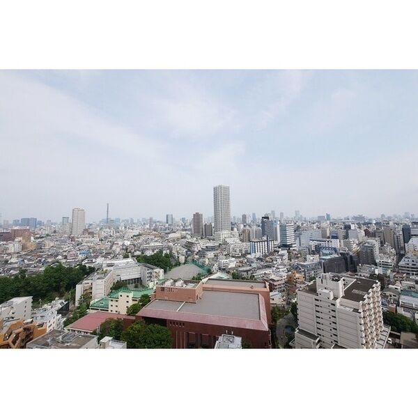 コンフォリア新宿イーストサイドタワー 室内写真9
