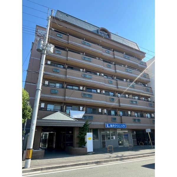IVY FLAT 建物画像