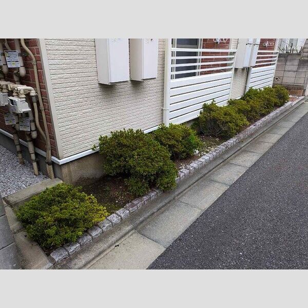 レオネクストさくら 室内写真6