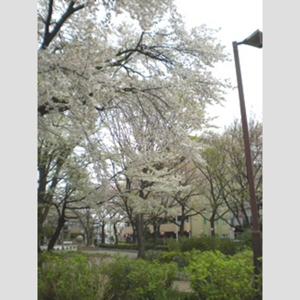 KS桜川 室内写真1