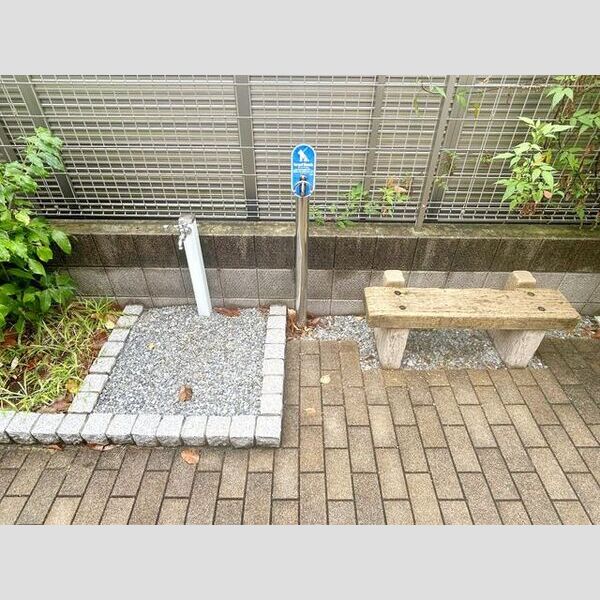 Grand Pas De Chat 室内写真4