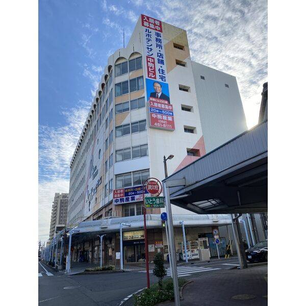 ルボテンサンビル