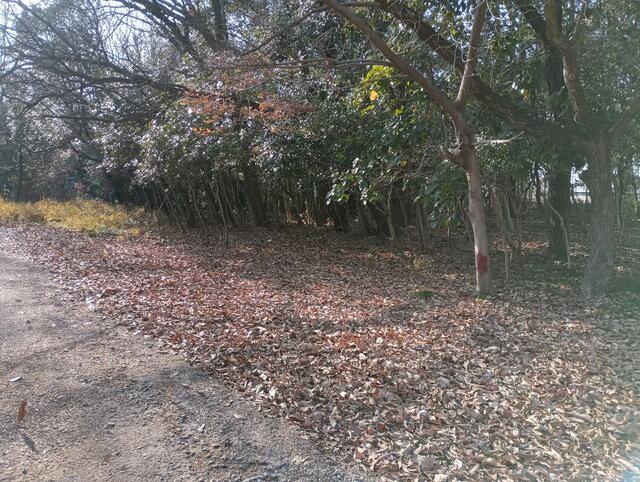 貸地（日進市藤島町大根） 写真2