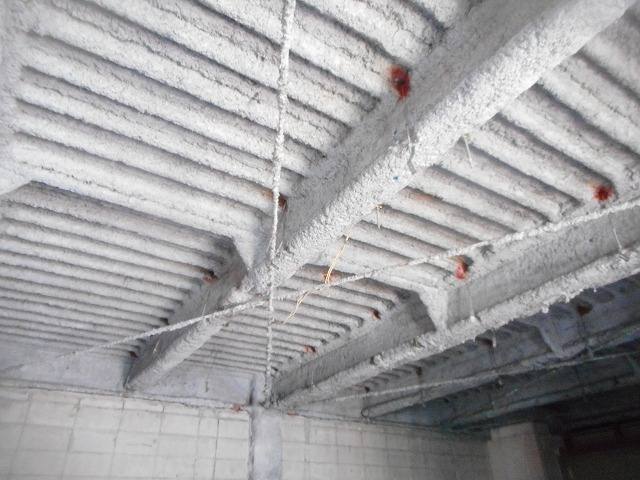 港西マンションⅡ 写真8